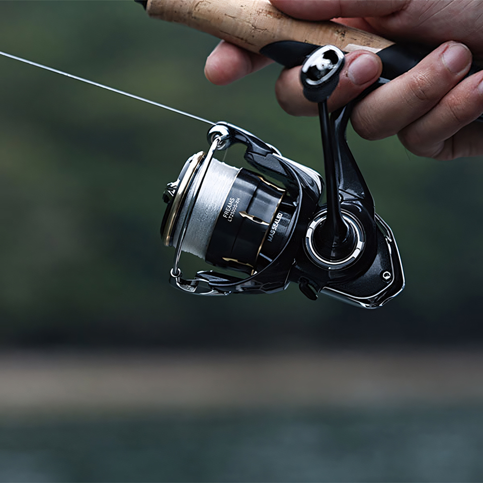 Moulinet Spinning DAIWA 2026 F - Daiwa Reel Bg avis et prix