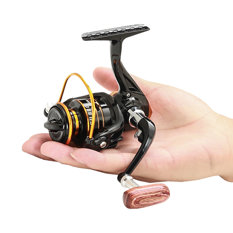 Moulinet de pêche spinning com - Daiwa Reel Bg avis et prix